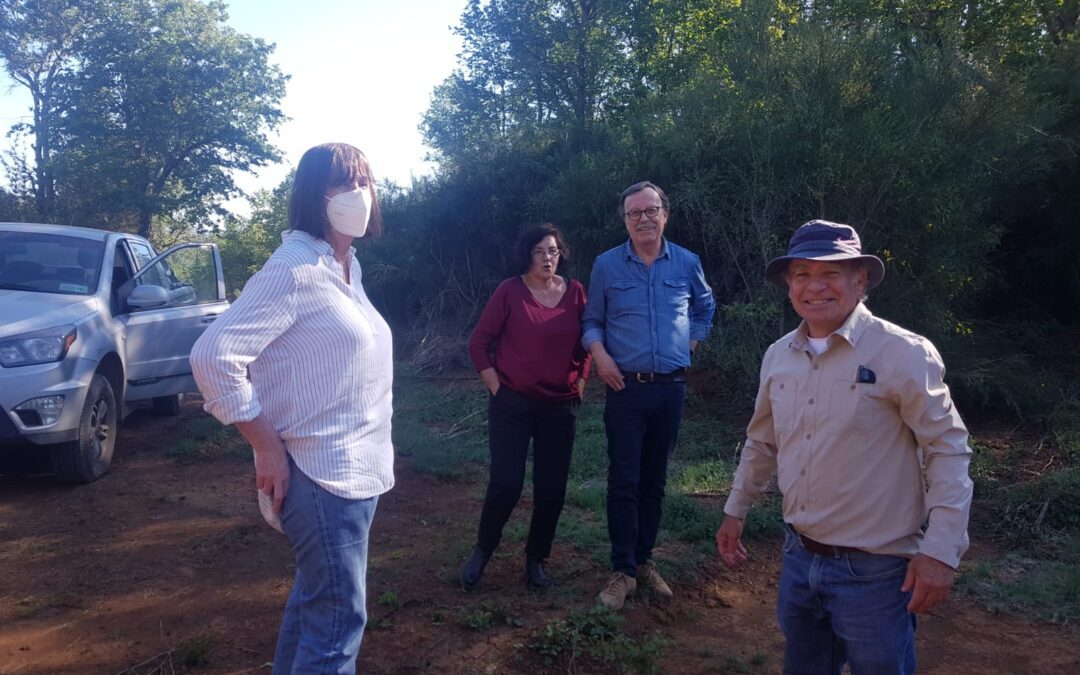 Diligencia en terreno de la ex Colonia Dignidad permitirá avanzar en verdad y justicia